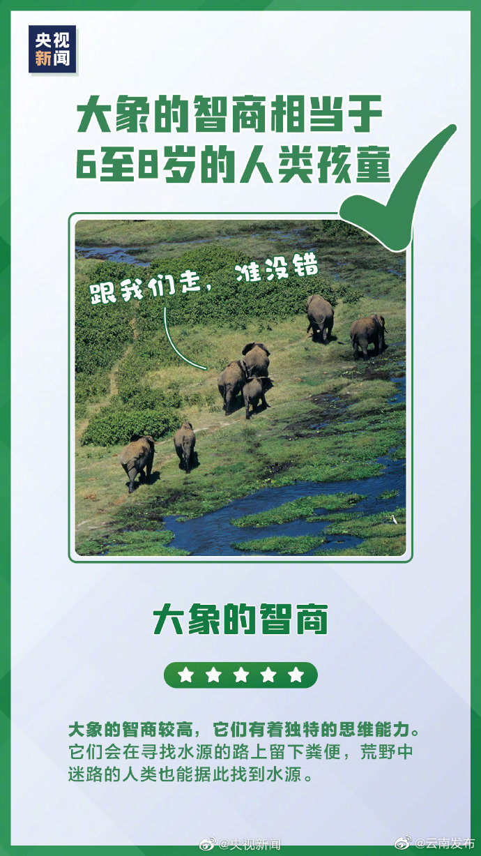 “云南发布”微博