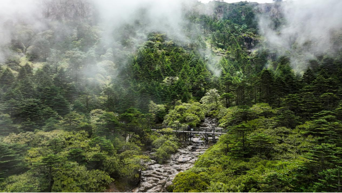 昆明轿子山旅游
