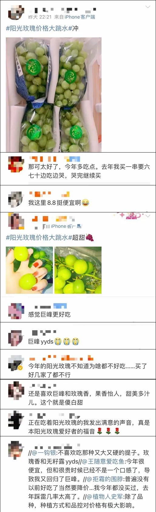 春城晚报