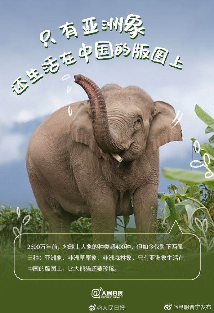 昆明晋宁发布