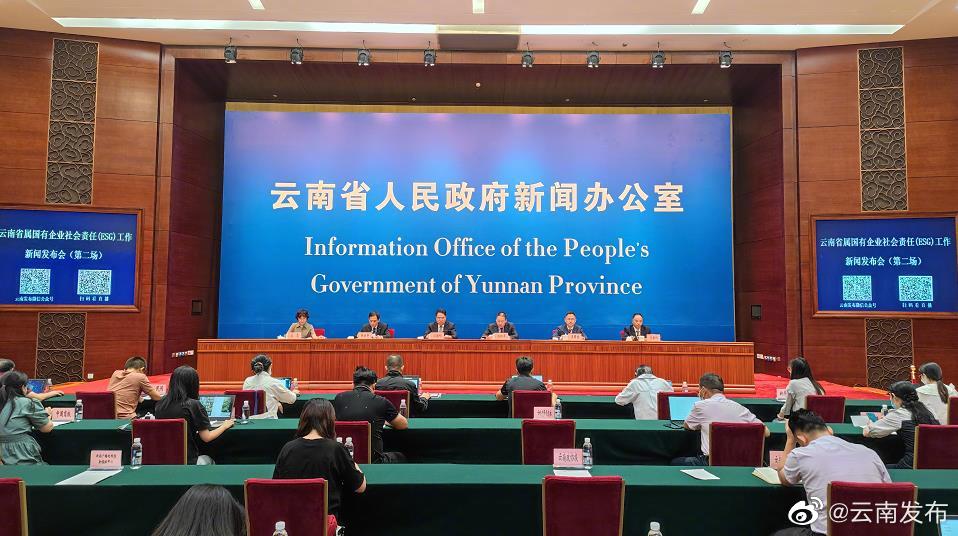 云南能投集团连续八年进入中国企业500强