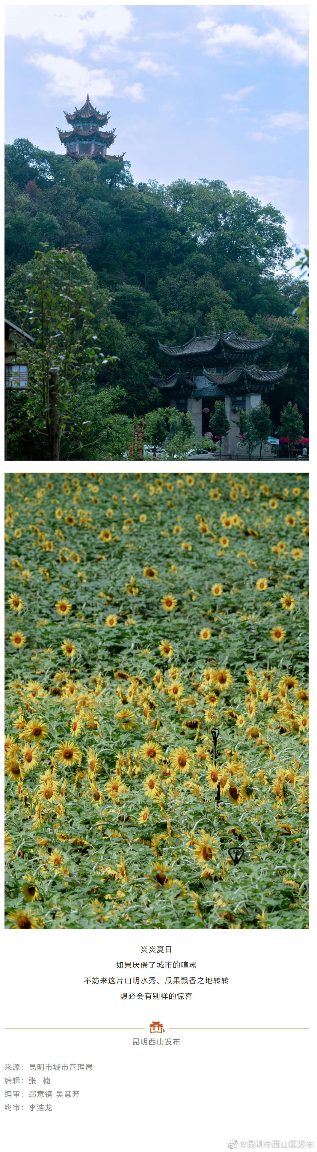 昆明市西山区发布