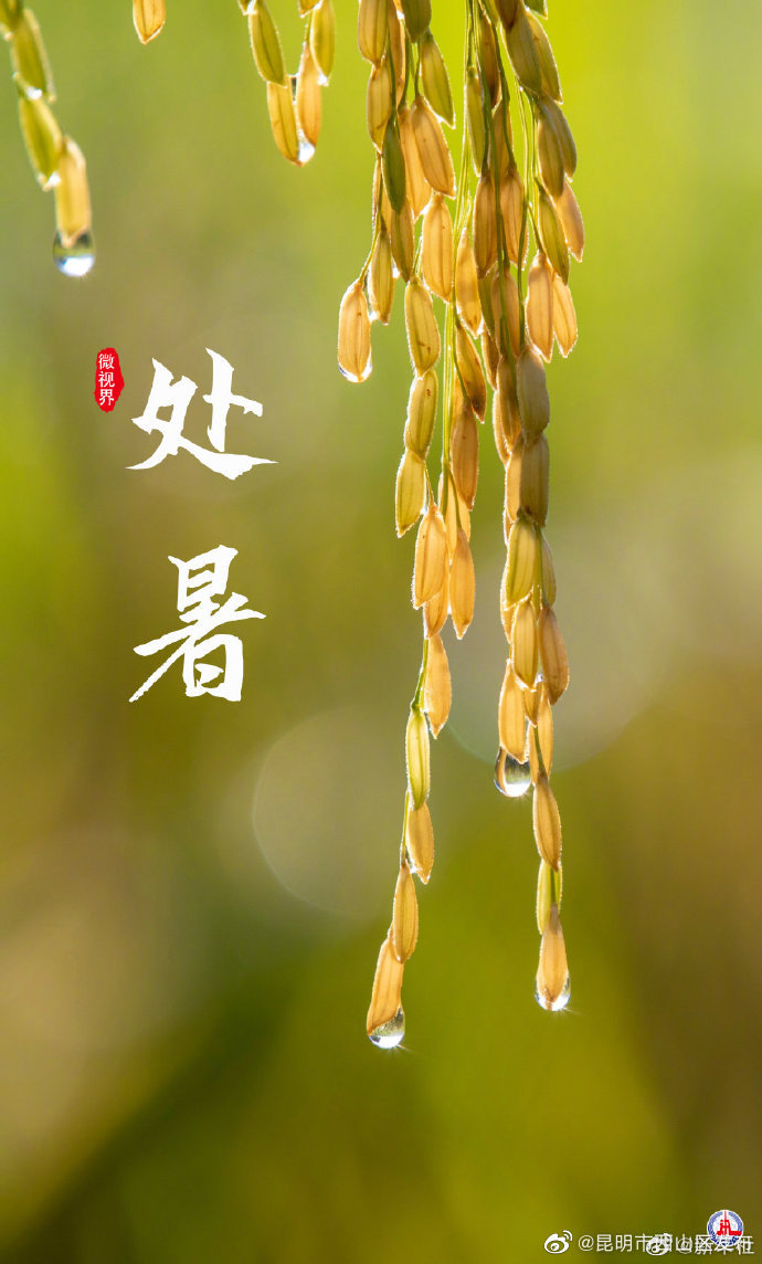 昆明市西山区发布