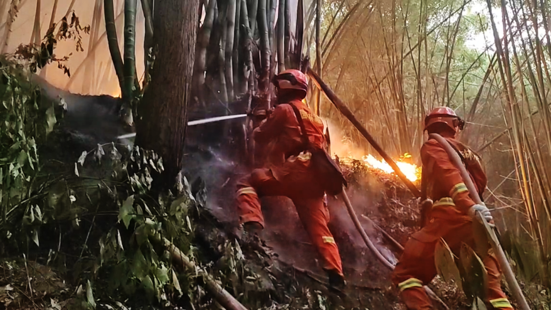 昆明信息港/cnkmxxg