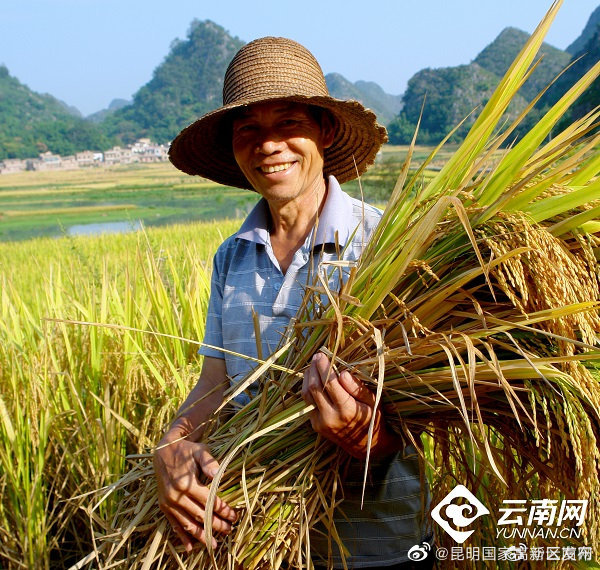 昆明国家高新区发布