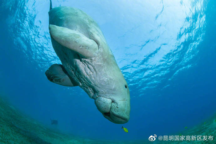 昆明国家高新区发布