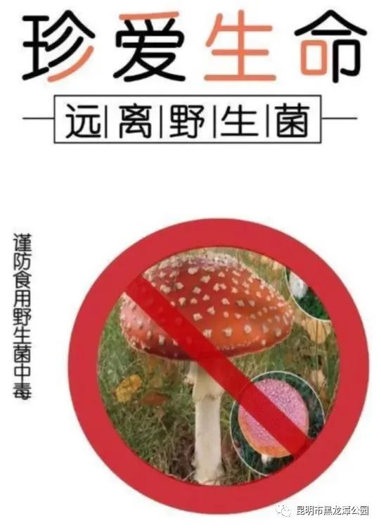 昆明市黑龙潭公园