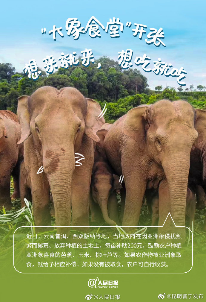 昆明晋宁发布