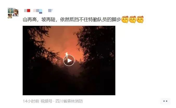 昆明信息港/cnkmxxg