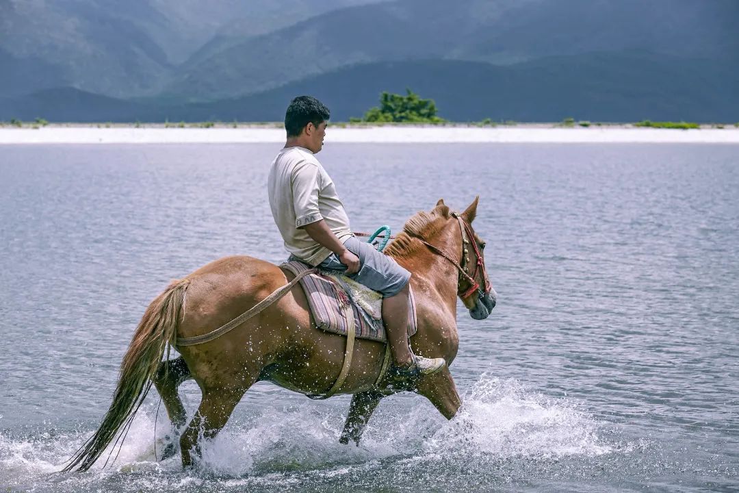 云南省文化和旅游厅