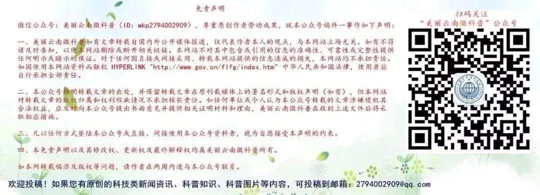 美丽云南微科普