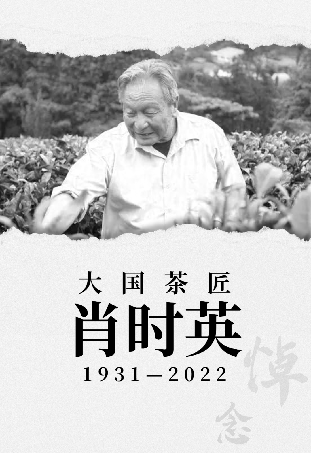 普洱日报