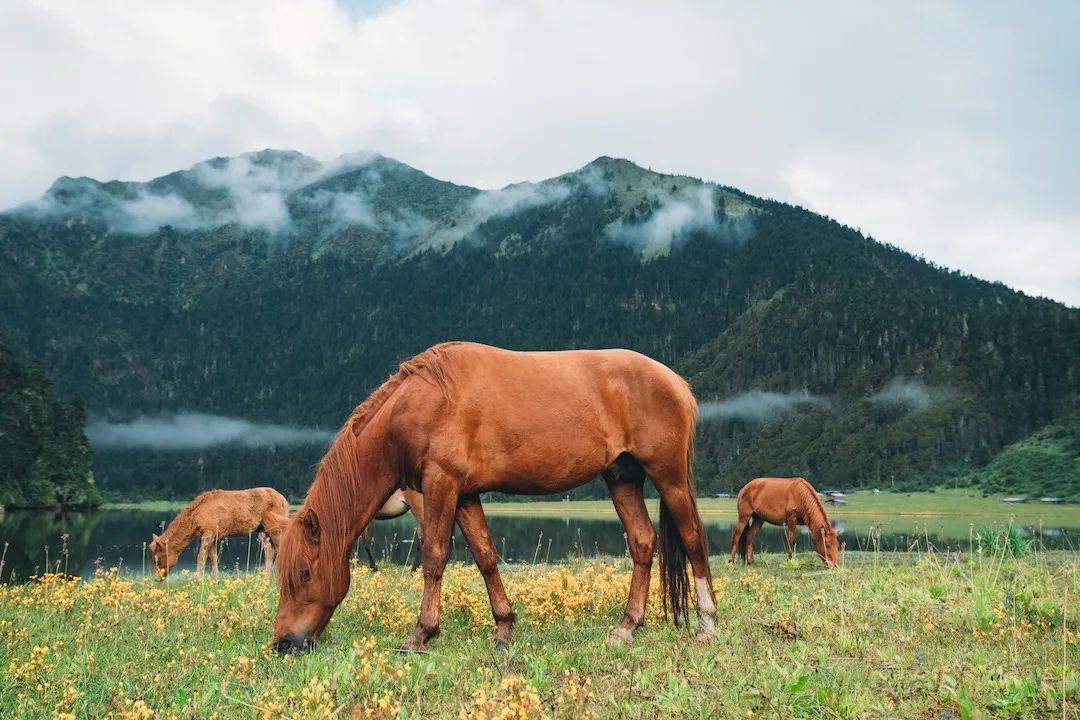 一部手机游云南