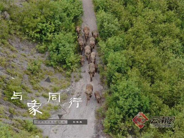 云南省文化和旅游厅