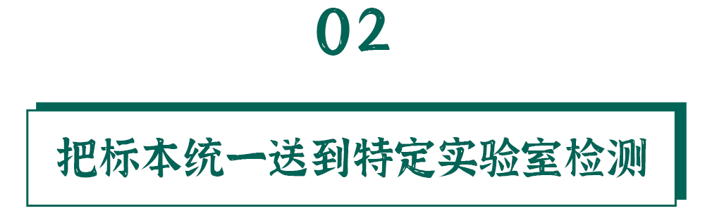 春城先锋