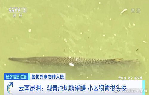 对外来物种坚决说NO