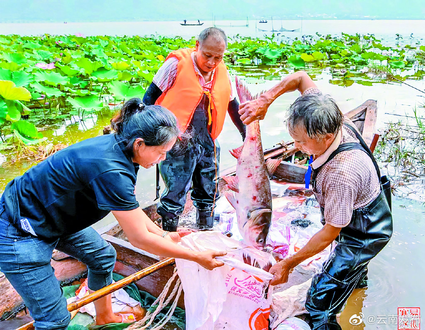 “云南发布”微博