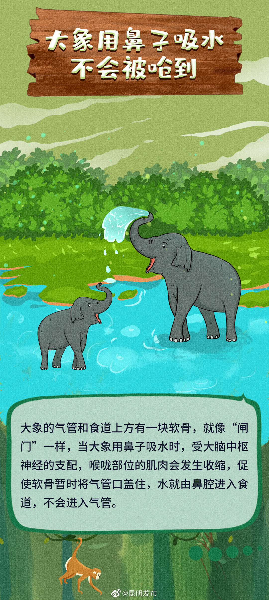 昆明发布