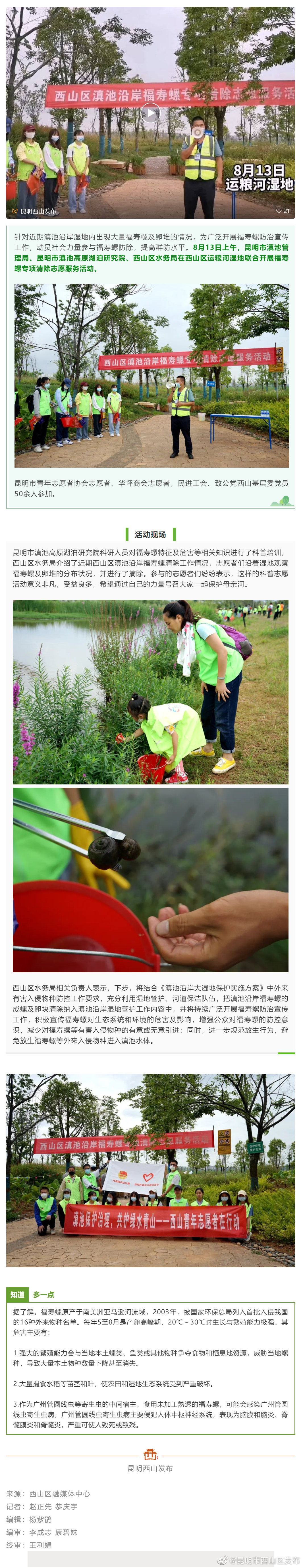 退！退！退！志愿者齐上阵，助力西山滇池沿岸福寿螺清除