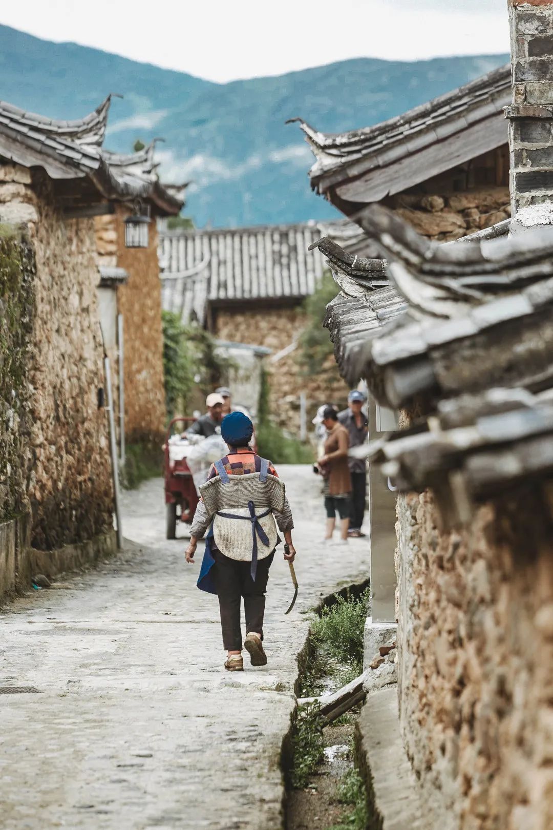 云南省文化和旅游厅