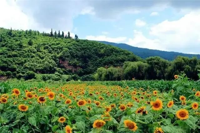昆明文旅