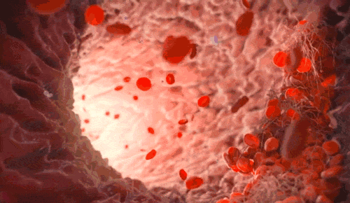 云南昆明血液中心