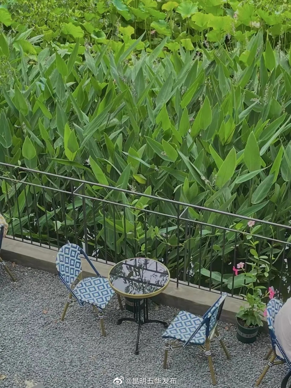 “昆明五华发布”微博