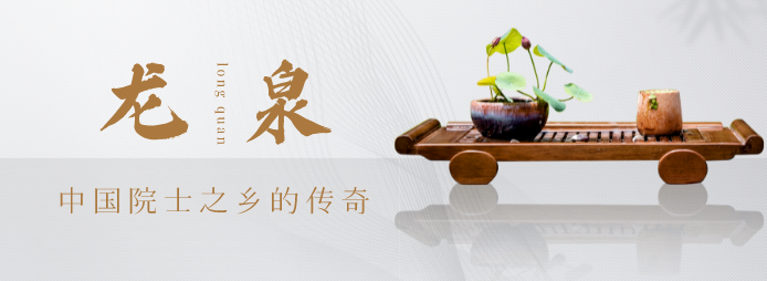 微观盘龙