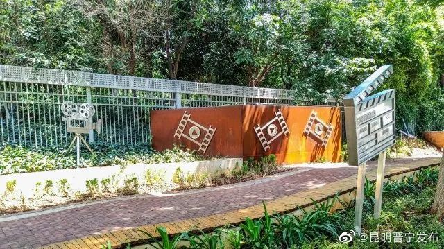 瓦猫花园、光影梦幻……昆明呈贡新增15座“口袋公园”