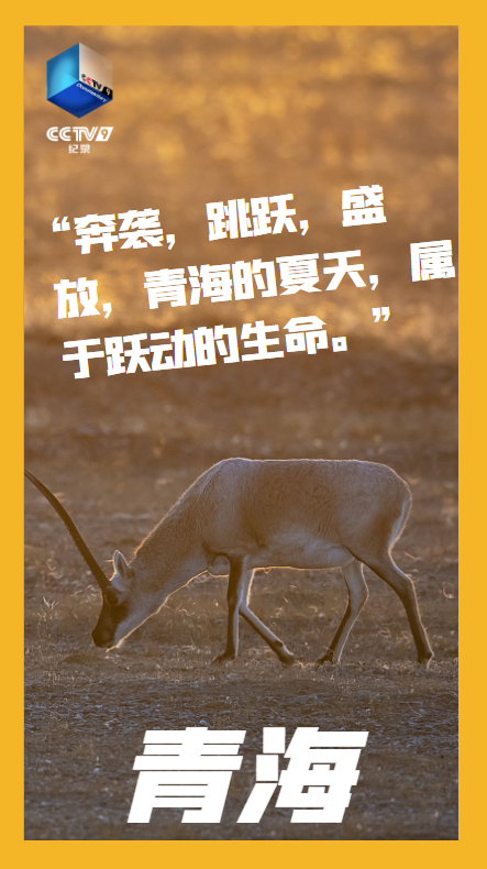 918云南交通台(微信)