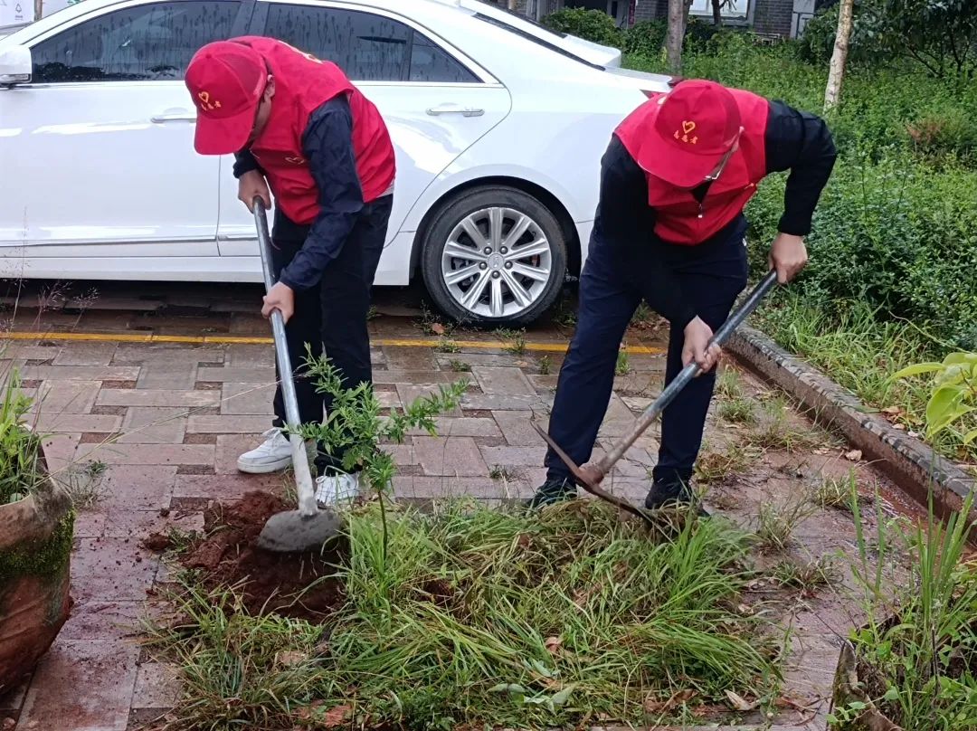 丽江日报