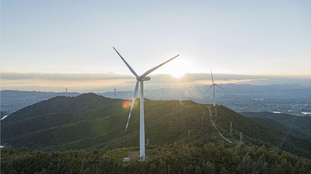 云南省人民政府网