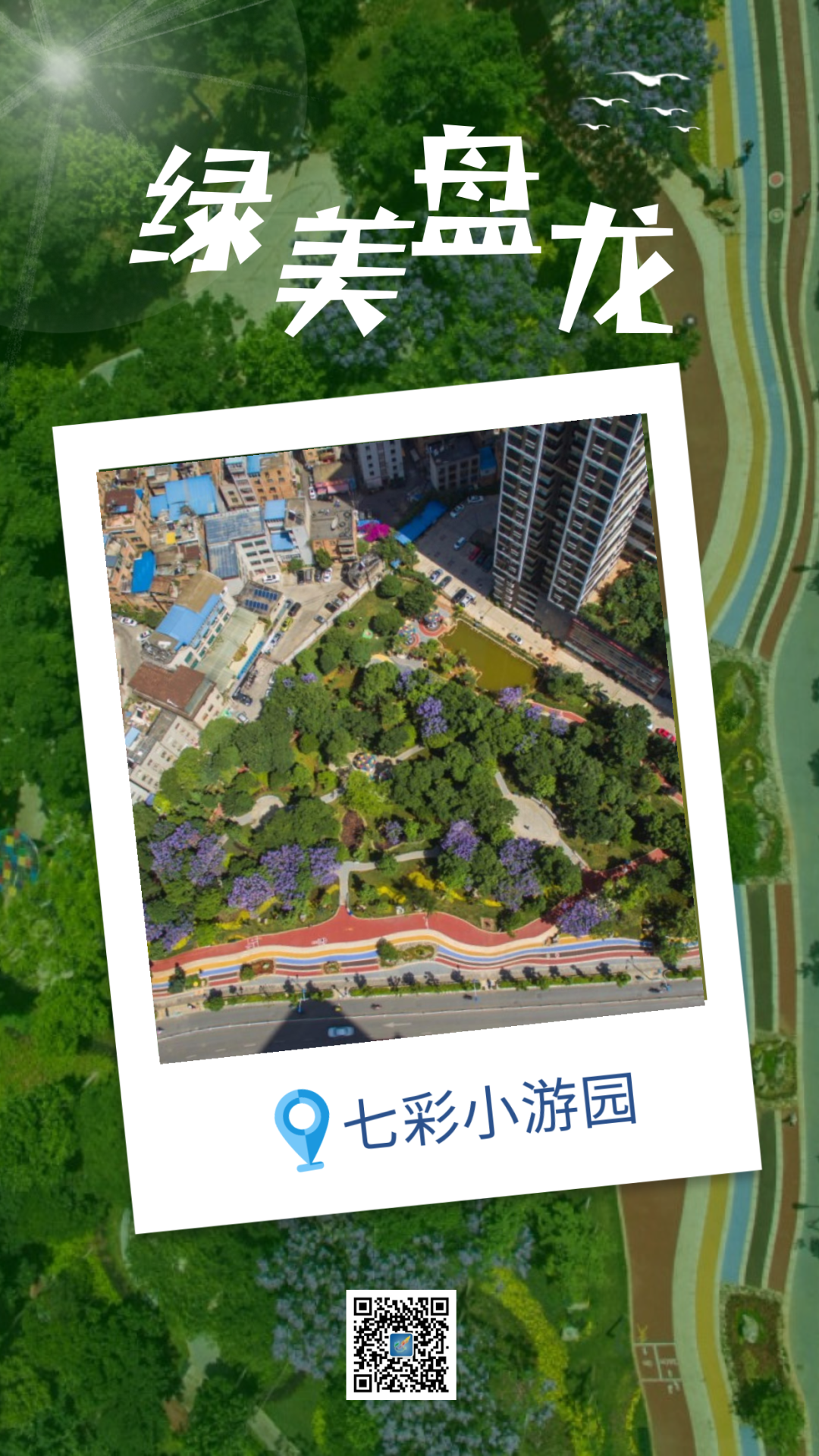 微观盘龙