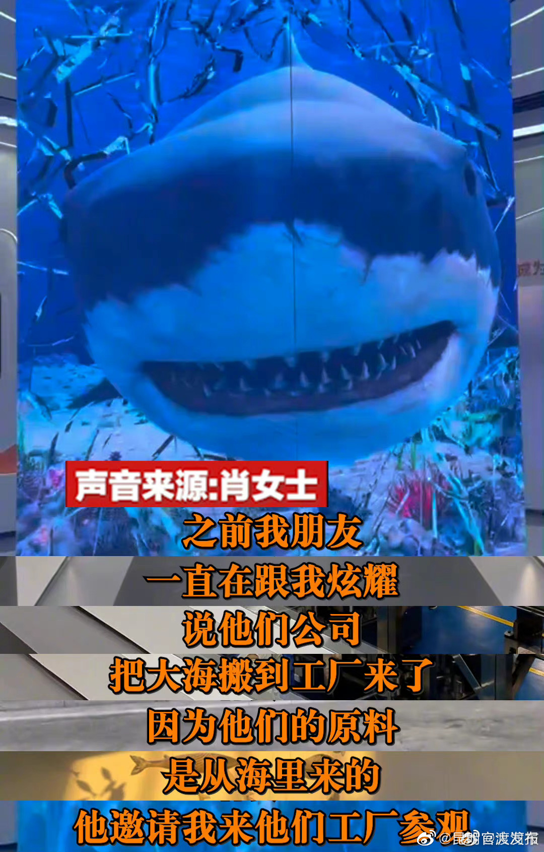 把大海搬进工厂是种什么体验：高科技+高颜值