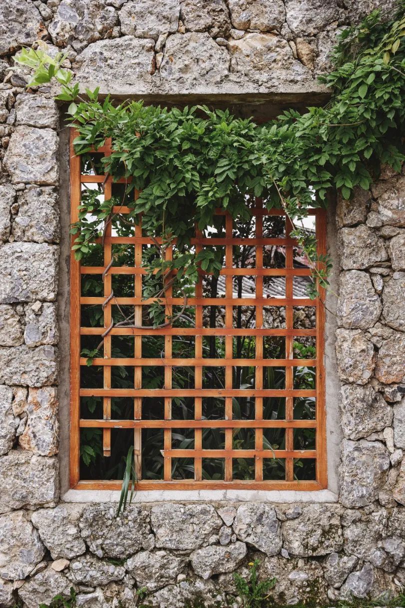 云南省文化和旅游厅