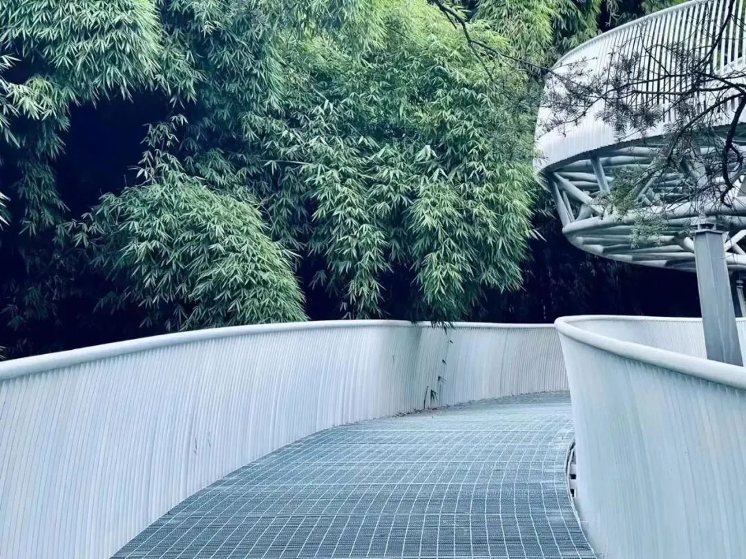 昆明发布