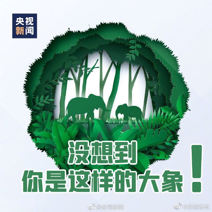 “云南发布”微博