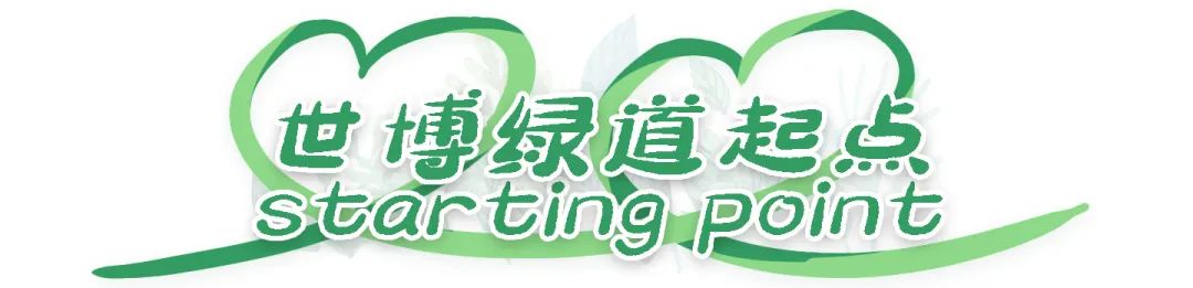 微观盘龙
