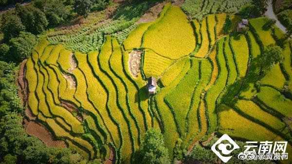云南省未来24小时天气预报