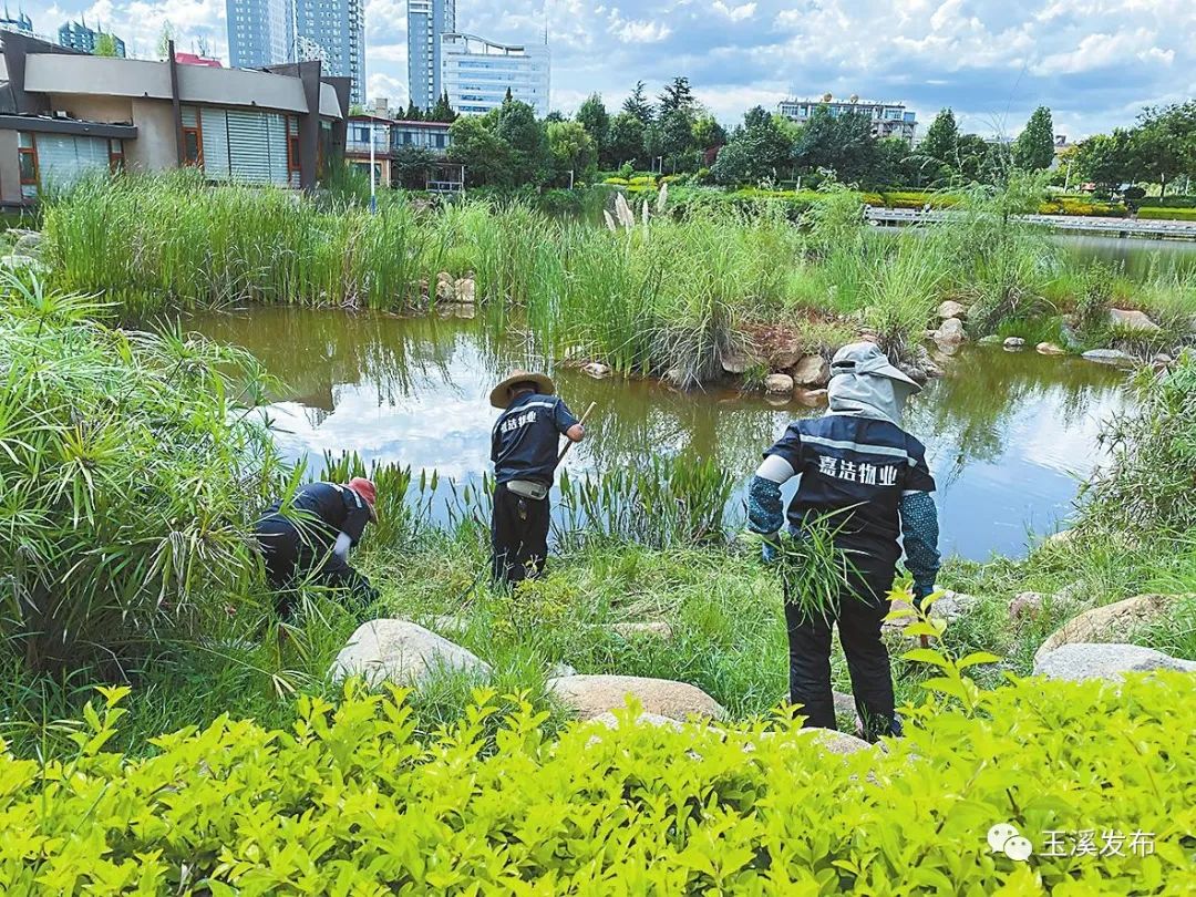 玉溪发布