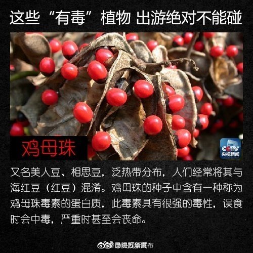 “昆明五华发布”微博