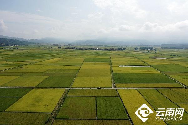 云南省文化和旅游厅