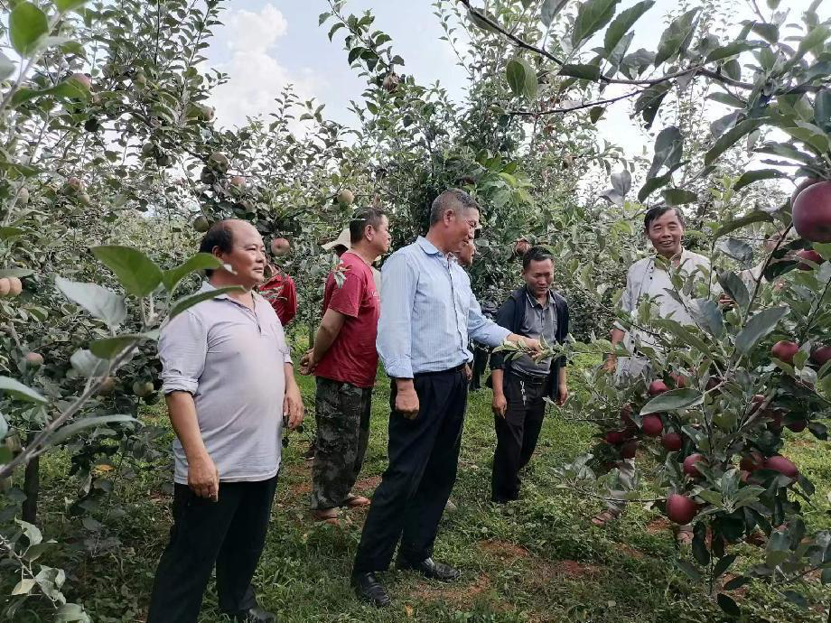 爱上富民