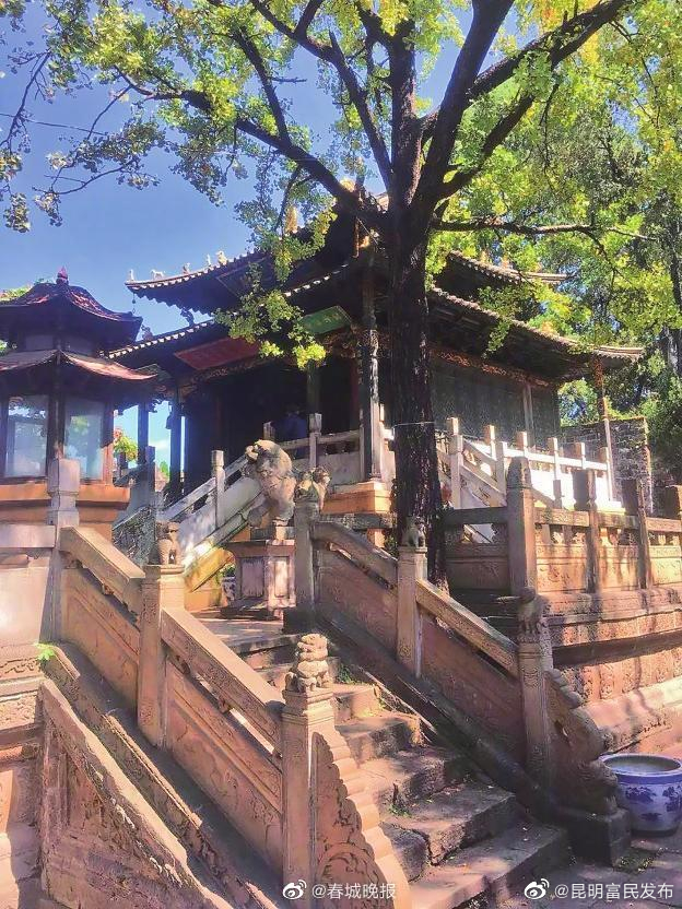 刚刚，昆明市金殿名胜区发布最新通告 