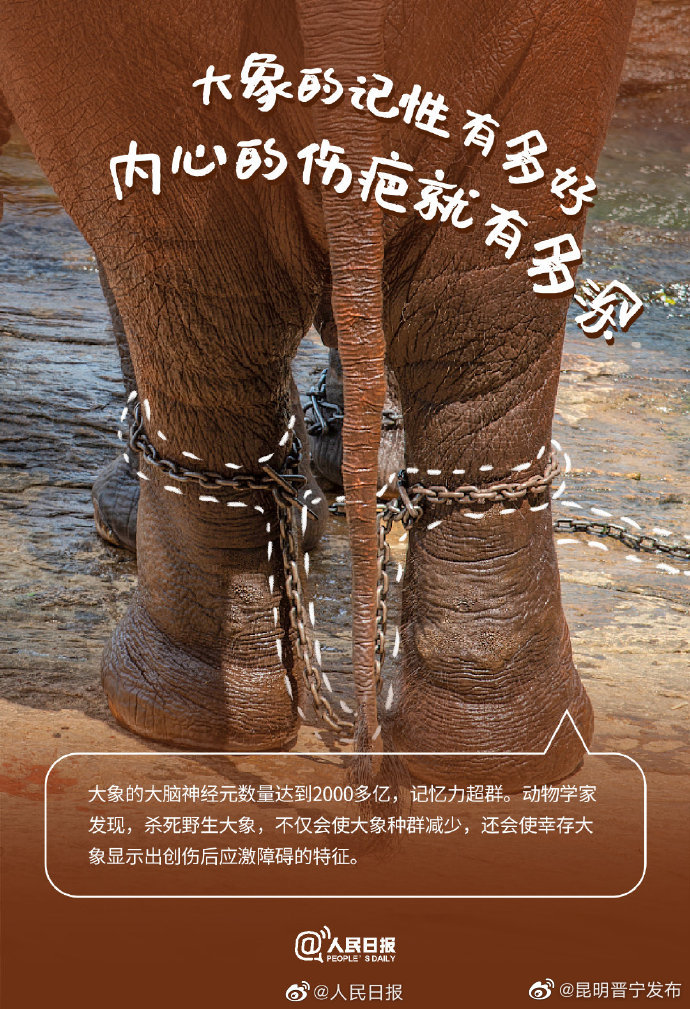 昆明晋宁发布