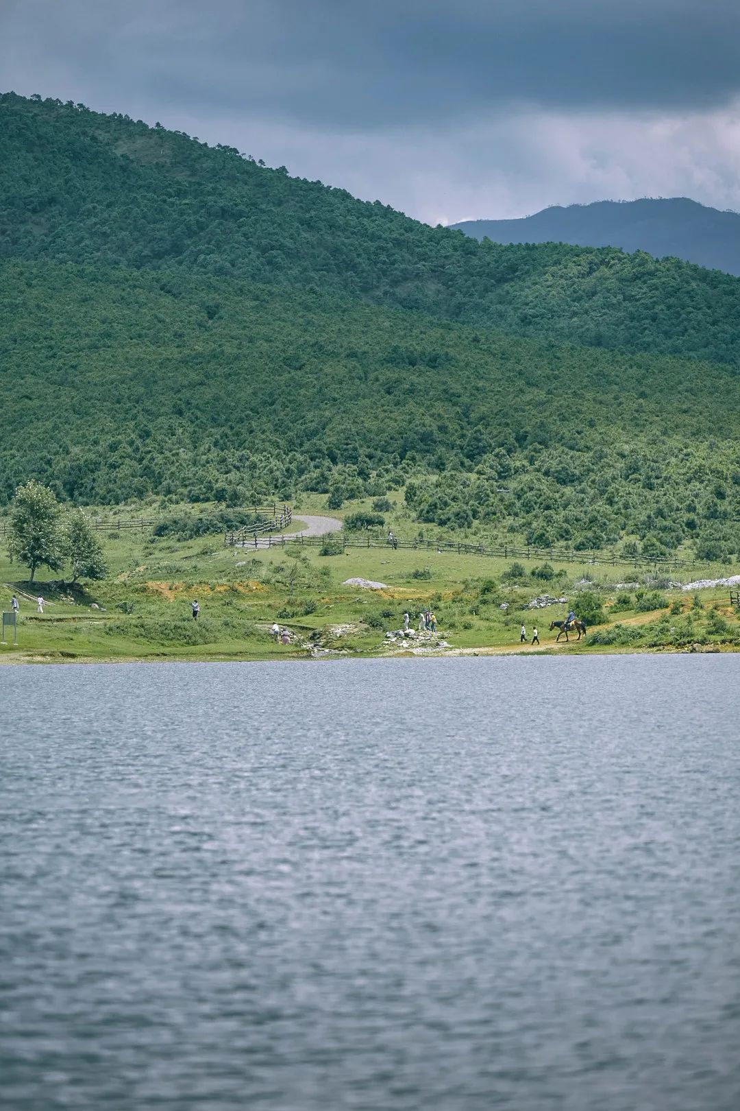 云南省文化和旅游厅