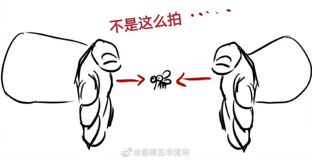 你打蚊子的姿势一直是错的