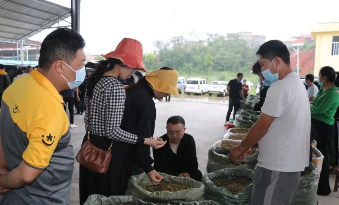 德宏团结报
