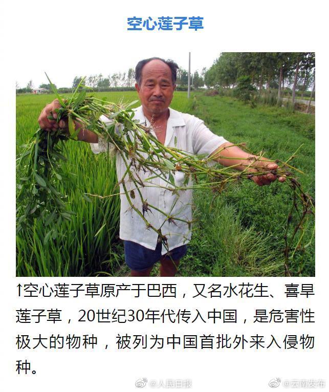 “云南发布”微博