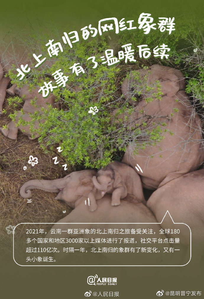 昆明晋宁发布